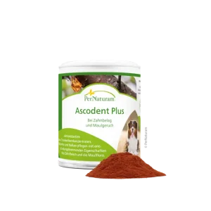 Ascodent Plus – 50 g