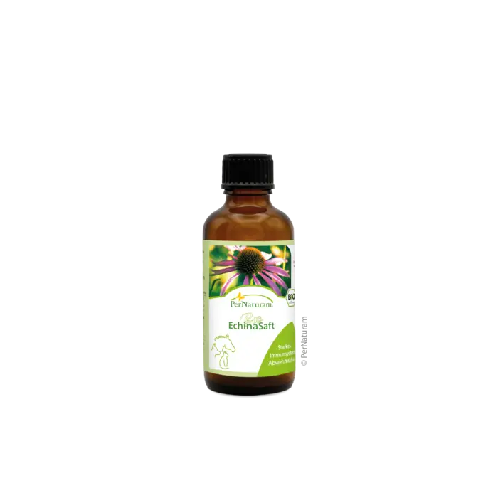 Bio Echina ImmunSaft – 50 ml