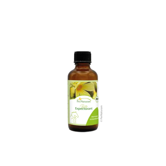 Bio Expectorant BronchialSaft – 50 ml