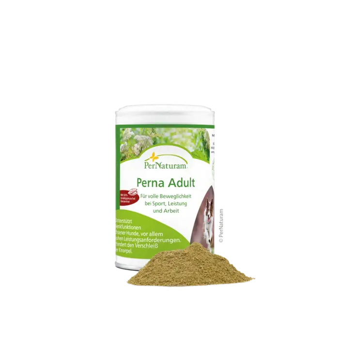 Perna Adult – 100 g