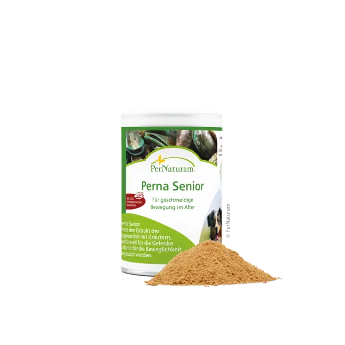 Perna Senior – 100 g